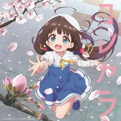 剧集收藏家